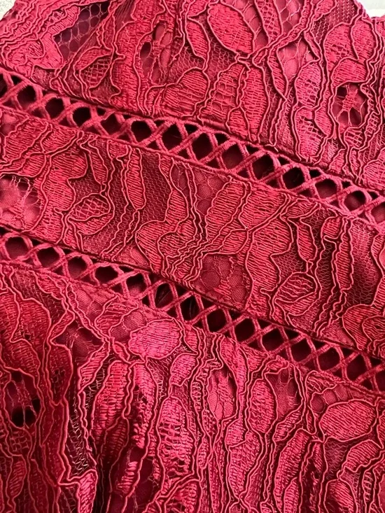 Francesca’s x Mi Ami Lace Dress - Picture 5 of 5